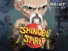 Shinobi Spirit